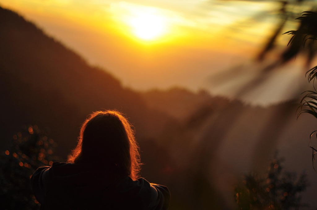 Things to do in palampur